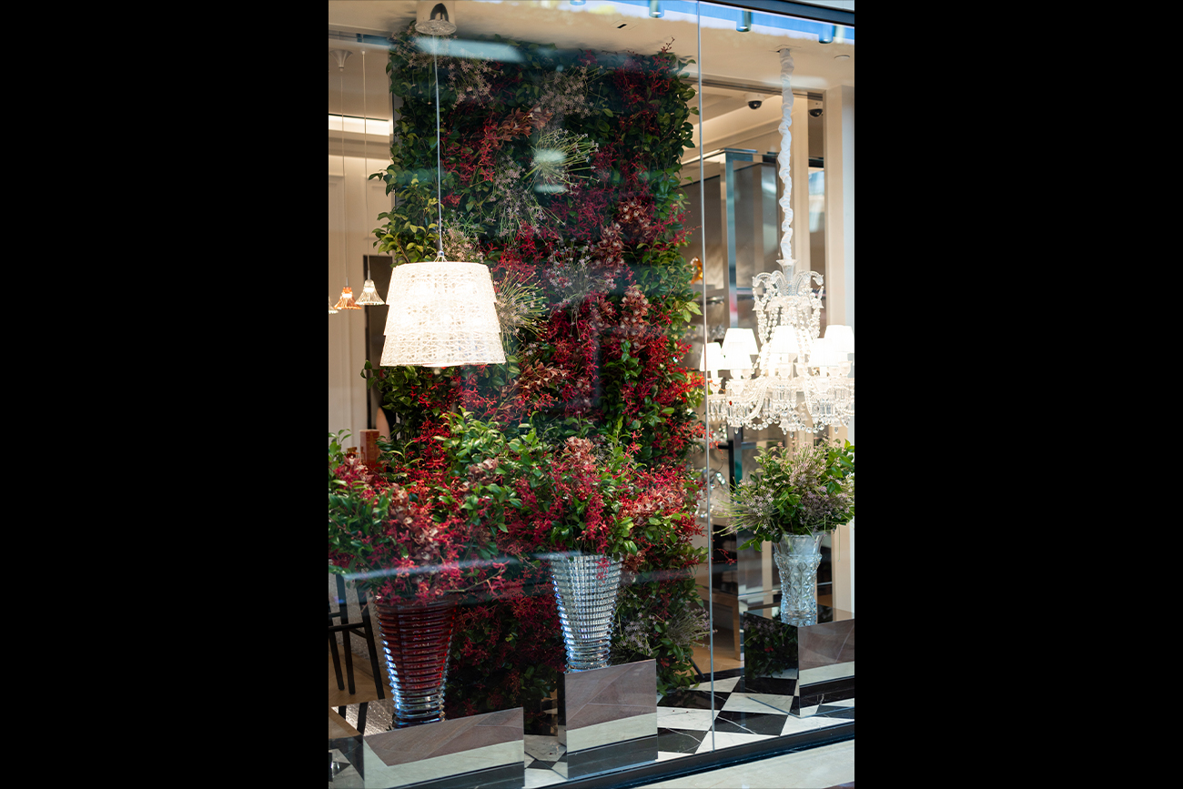 Baccarat x This Humid House